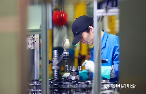 长江轴承 以技术硬实力撬动全球市场缝隙，打造国际化品牌新标杆